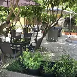 Boutique A Esplanada 4* カステロ・ブランコ