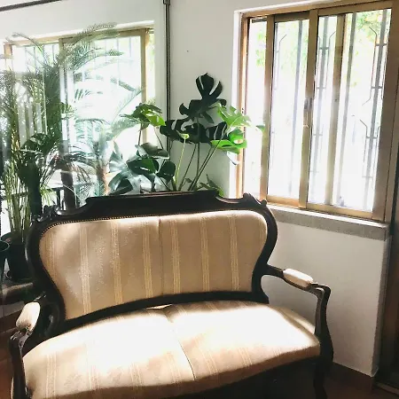 Boutique A Esplanada 2* 카스텔루브랑쿠