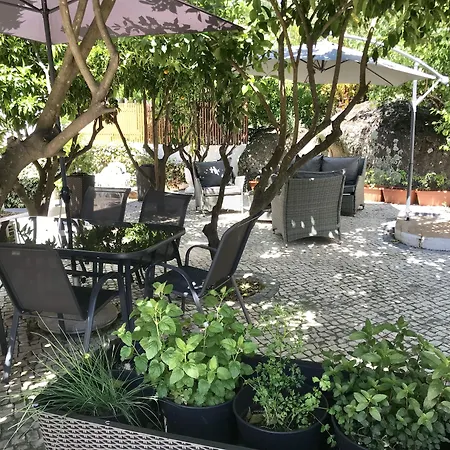 Boutique A Esplanada 4* Castelo Branco