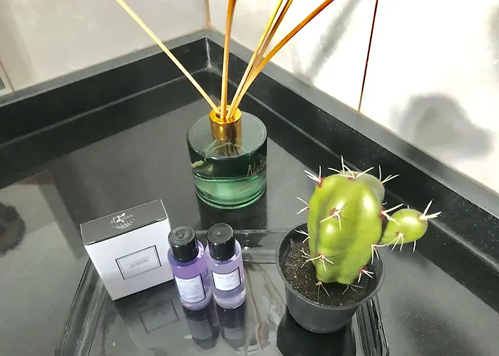 Boutique A Esplanada 4* Castelo Branco (Centro)